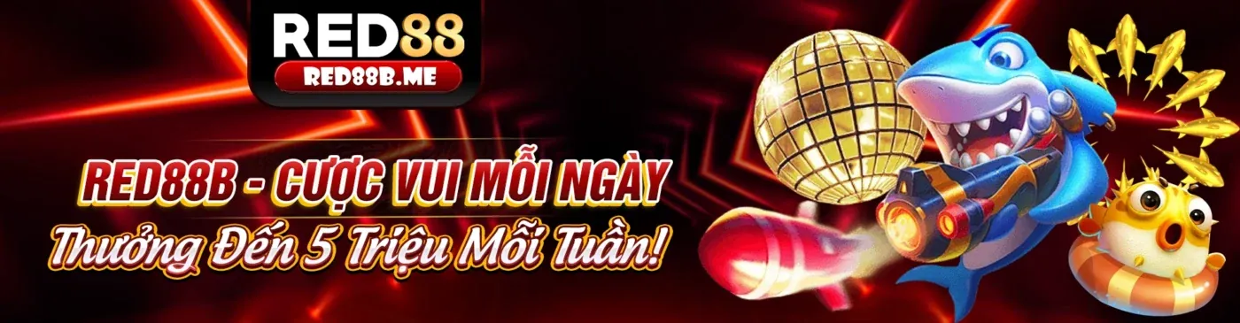 Sòng bạc trực tuyến kingbet với các trò chơi đa dạng